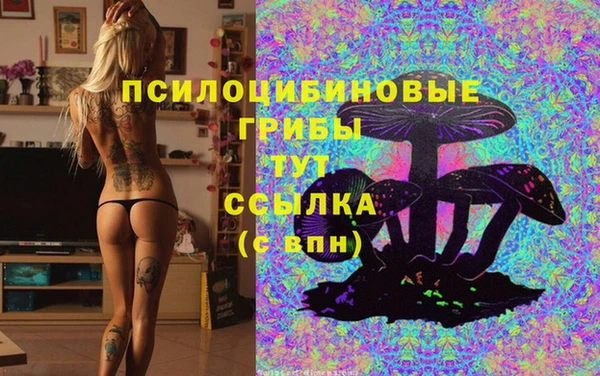 твердый Алзамай
